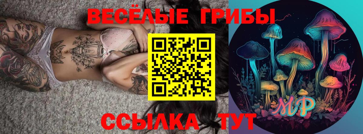 Галлюциногенные грибы Psilocybine cubensis  Галлюциногенные грибы GOLDEN TEACHER  Вход с VPN  Королёв 